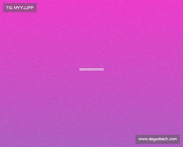 上海跑步赛事盛宴燃情申城活力飞扬