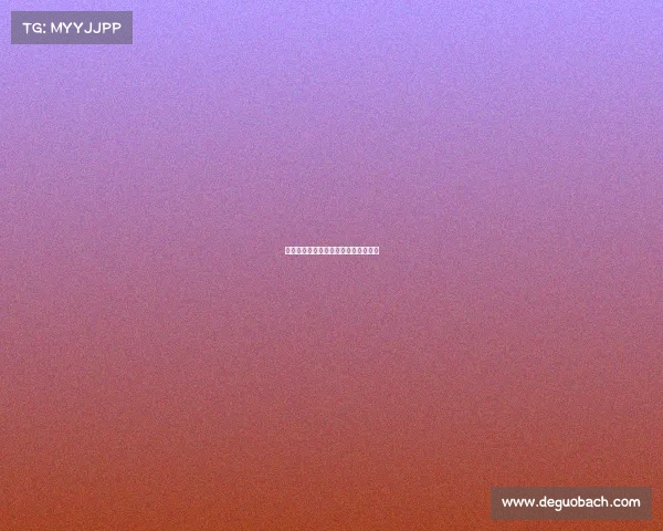 拳击赛事全解析职业业余比赛类型盘点