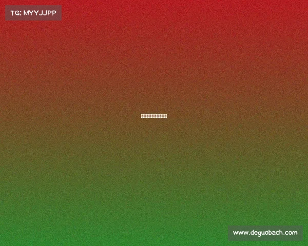 二打一扑克全国锦标赛