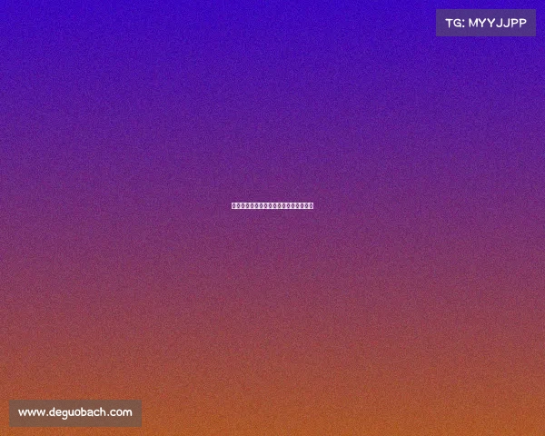 温州网球比赛赛事规程温州网球协会主页