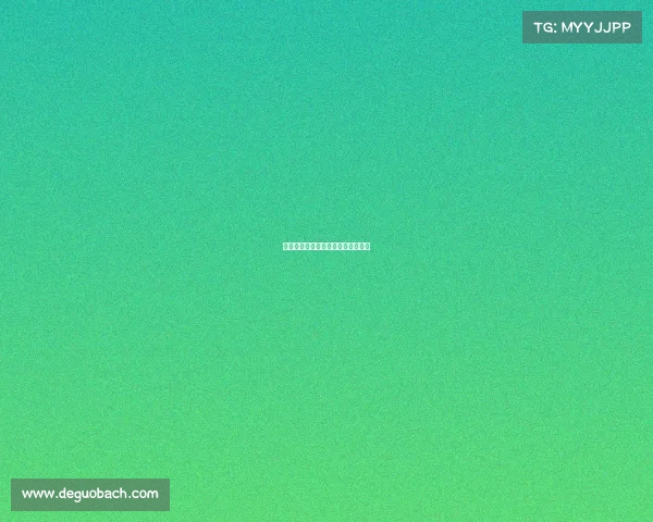 巅峰对决震撼上演搏击赛事火热开战