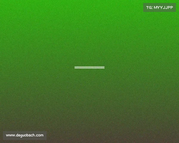 法国女足中国赛事激情对决荣耀之战精彩上演 法国女足中国赛事激情对决荣耀之战精彩上演